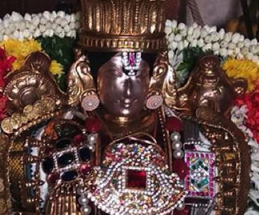 Thirukoodal Sri Vyuga Sundararajan Temple Masi Magam Utsavam