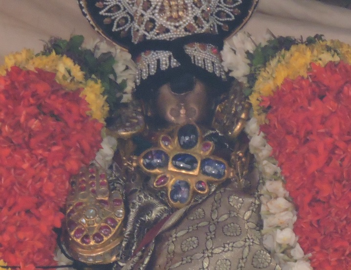 Srirangam Sri Ranganathaswami Temple Adhi Brahmotsavam – Thiruther