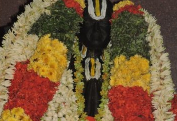 Srimad Paravakottai Andavan Thirunakshatra Mahotsava Thirumanjanam At Brindavanam