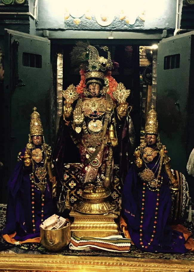 Kanchi Sri Varadaraja Perumal Temple Vaikasi Brahmotsavam – Day 8