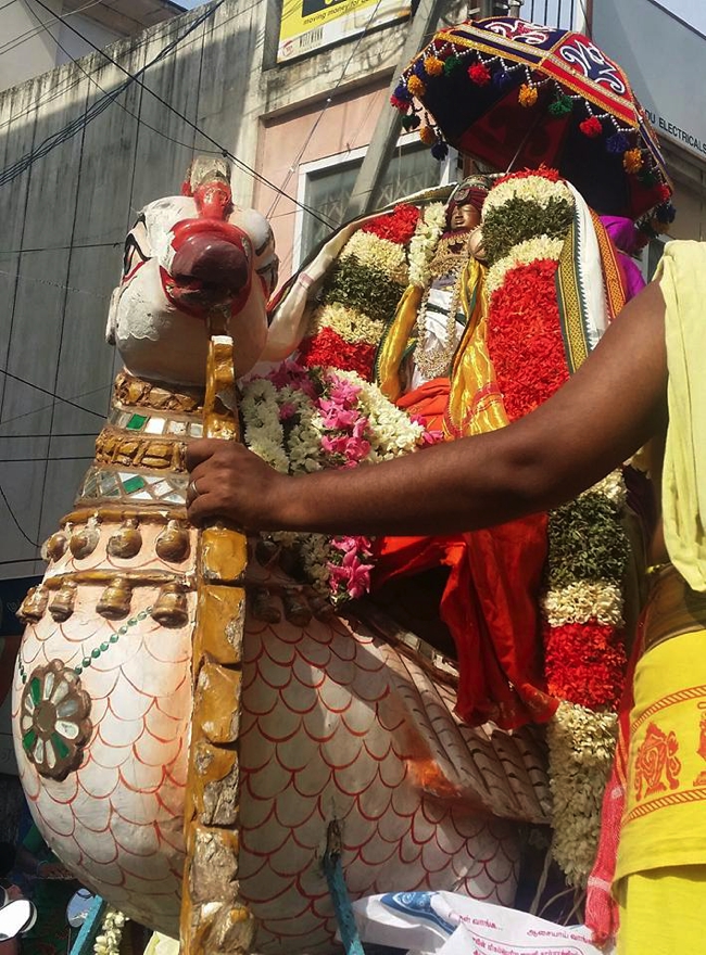 Thanjavur 23 Garuda Sevai: Grand Procession