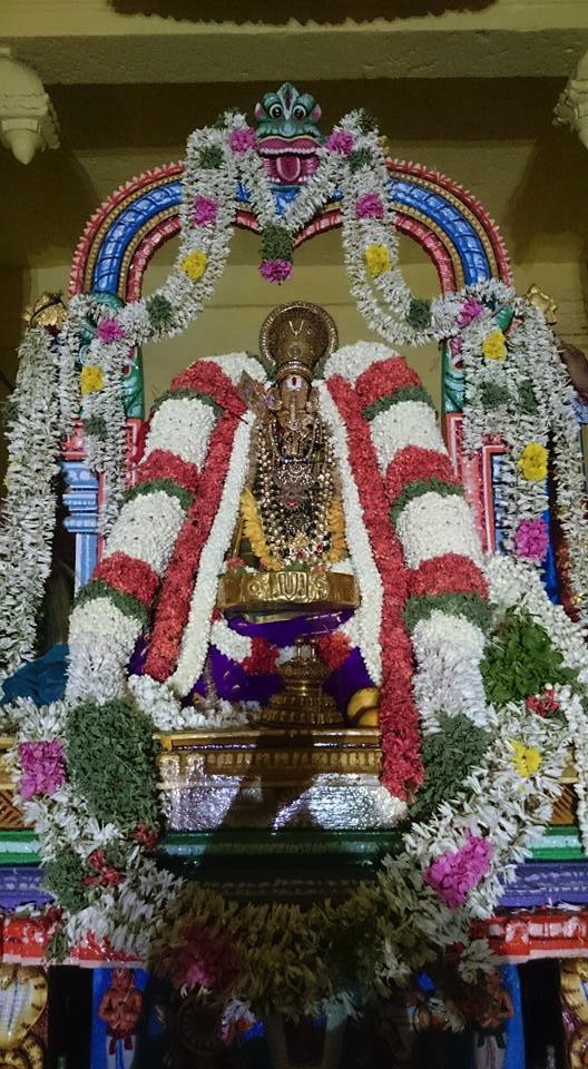 Swami Ramanujar Thirunakshathram Celebration At Thiruvallikeni Sri Parthasarathy Swamy Temple
