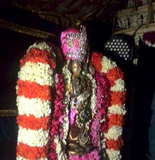 Pushpa Pallakku at Arumbakkam Sri Satyavaradaraja Perumal Temple