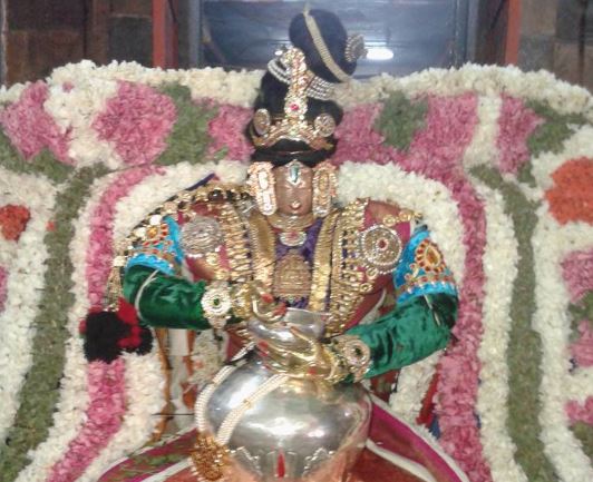 Sirupuliyur Sri Krupasamudra Perumal Temple Brahmotsavam – Day 8