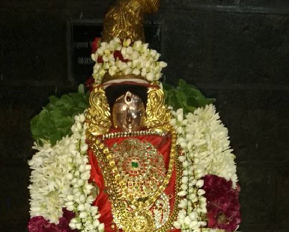 Sri Andal Masa Thirunakshatram at Thiruvahindrapuram Sri Devanathan Perumal Temple