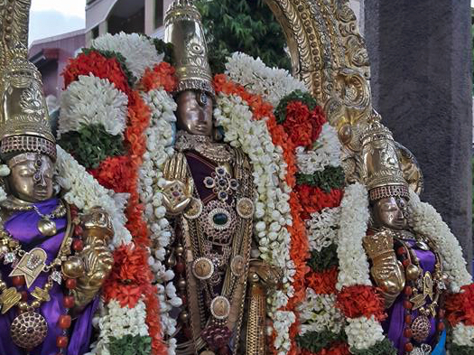 Thiruvallur Sri Veeraraghava Perumal Aani Chithirai Purappadu