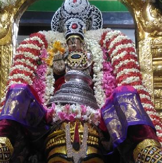 Arumbakkam Sri Satyavaradaraja Perumal Temple Aani Garudan – Gajendra Moksham