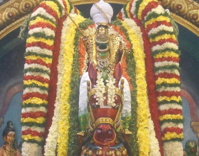 Perambur Sri Venkatesa Perumal Temple Brahmotsavam – Day 8
