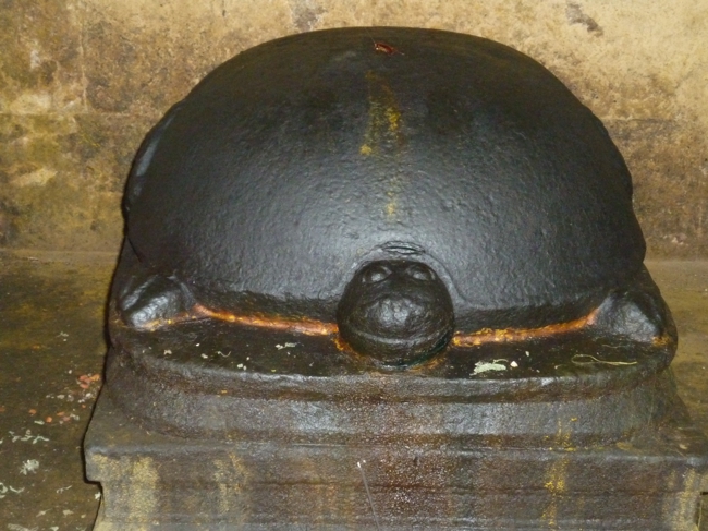 Koorma Jayanthi At Srirangam Dasavatharan Sannidhi