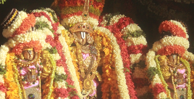 West Mambalam Sri Sathyanarayana Temple Aani Brahmotsavam – Day 10 (Evening)