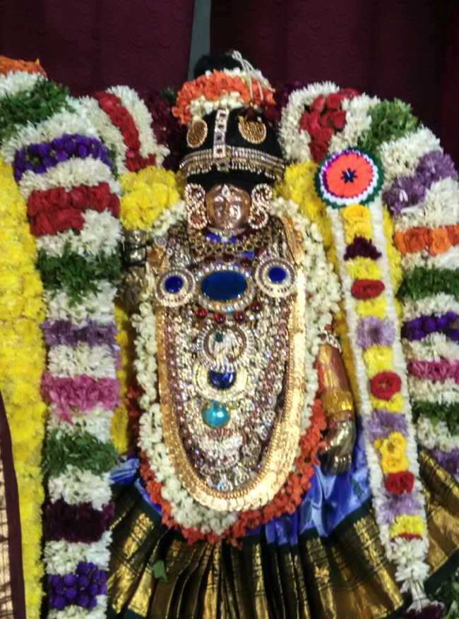 Thiruvaadipooram Utsavam Celebrated At Pondicherry Sri Varadaraja Perumal Temple