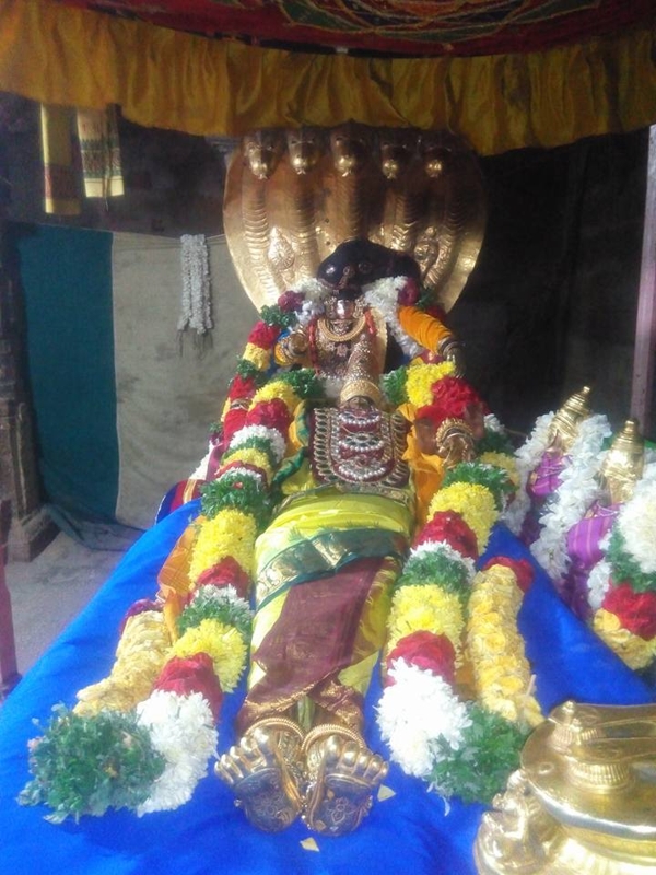 Vanamamalai Sri Deivanayaga Perumal Temple Durmukhi Varusha Pavithrotsavam : Day 1