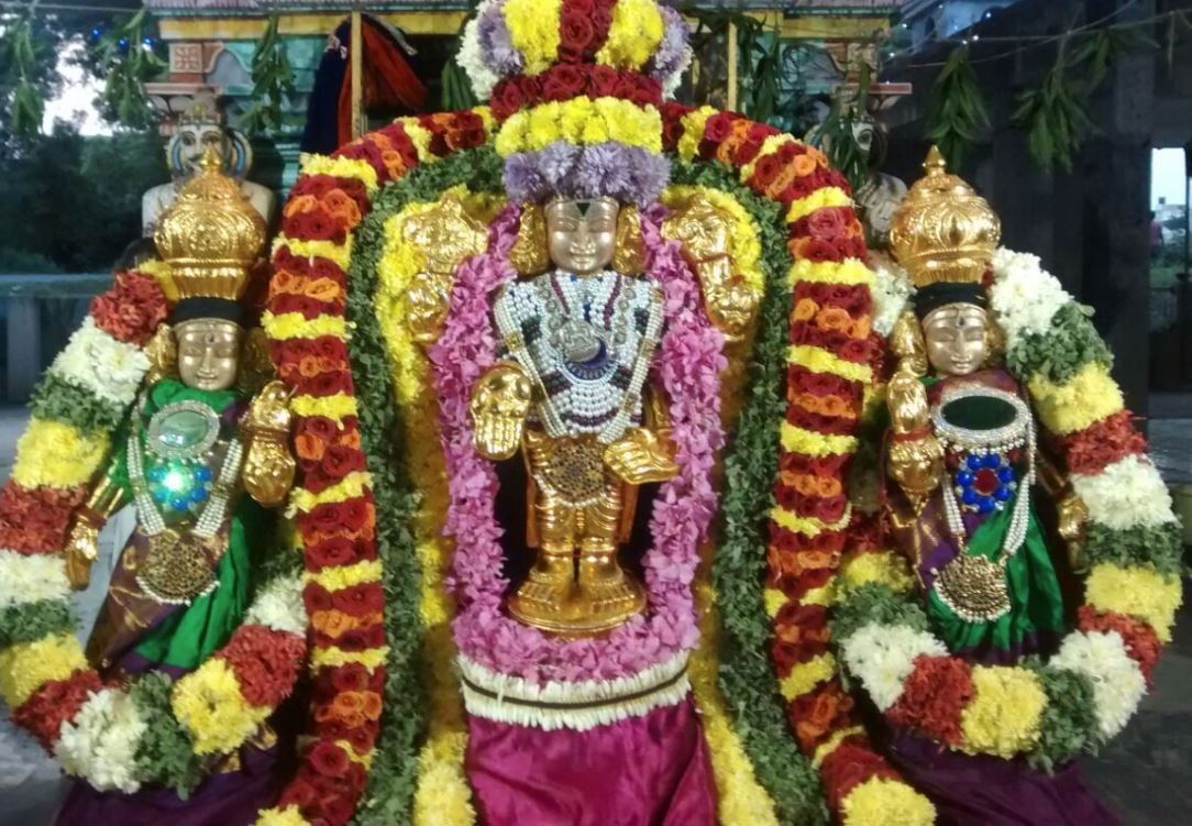 Guduvancherry Sri Prasanna Venkatesa Swamy Temple Thiruppavadai Utsavam