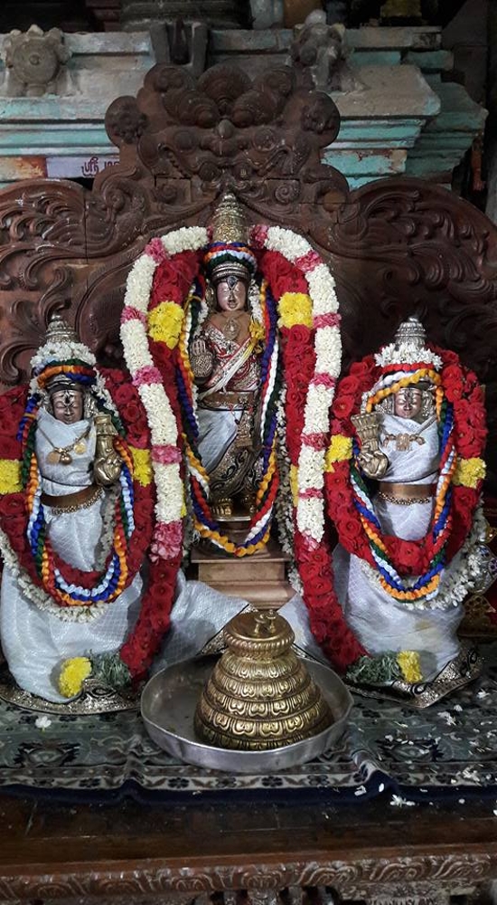 Mylai Sri AdhiKesava Perumal Kovil Pavithrothsavam Day 5