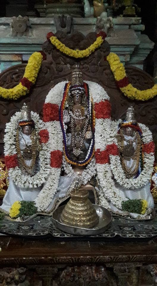 Mylai Sri AdhiKesava Perumal Kovil Pavithrothsavam concludes