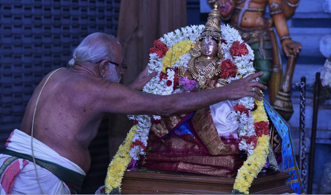 Triplicane Ahobila Mutt Swami Desikan Durmukhi Varusha Thirunakshatra Utsavam : Day 8