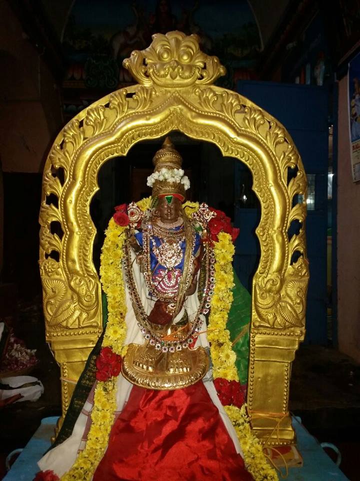 Thillaisthanam Sri Srinivasa Perumal Temple Durmukhi Karthikai Maasa Purappadu