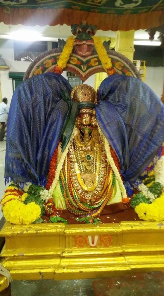 Mylapore SVDD Srinivasa Perumal Temple – Sri Vedantha Desikar Devasthanam: Swami Peiyazhwar Satrumarai