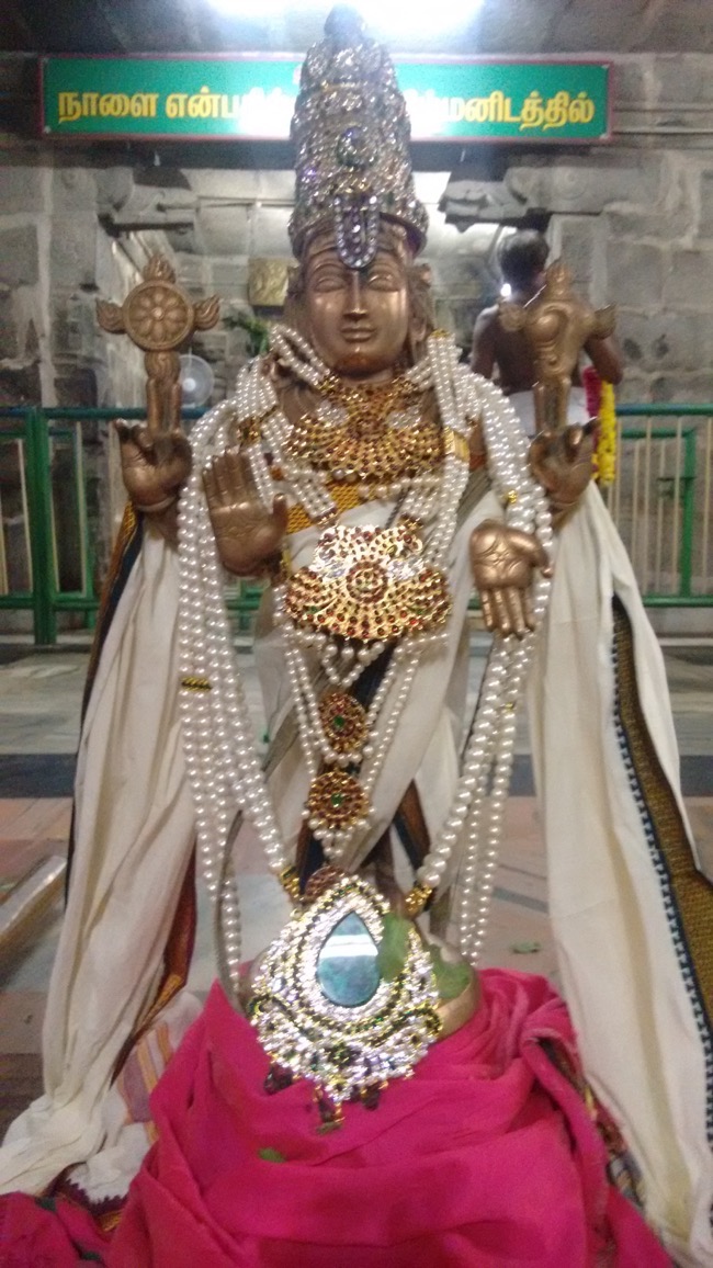 Narasingapuram Sri Lakshmi Narasimha Swamy Temple – Swathi Thirumanjanam