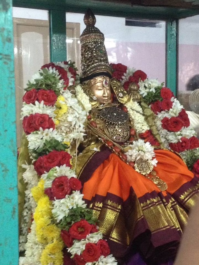 Hevilambi Aani Velli Kizhamai Thayar Purappadu At Thirukadigai (Sholingur)