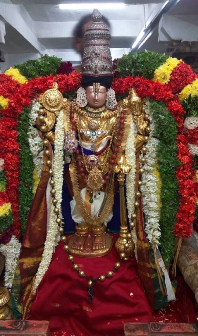 Dolotsavam At Srivilliputhur Sri Vadapathrasayee Temple