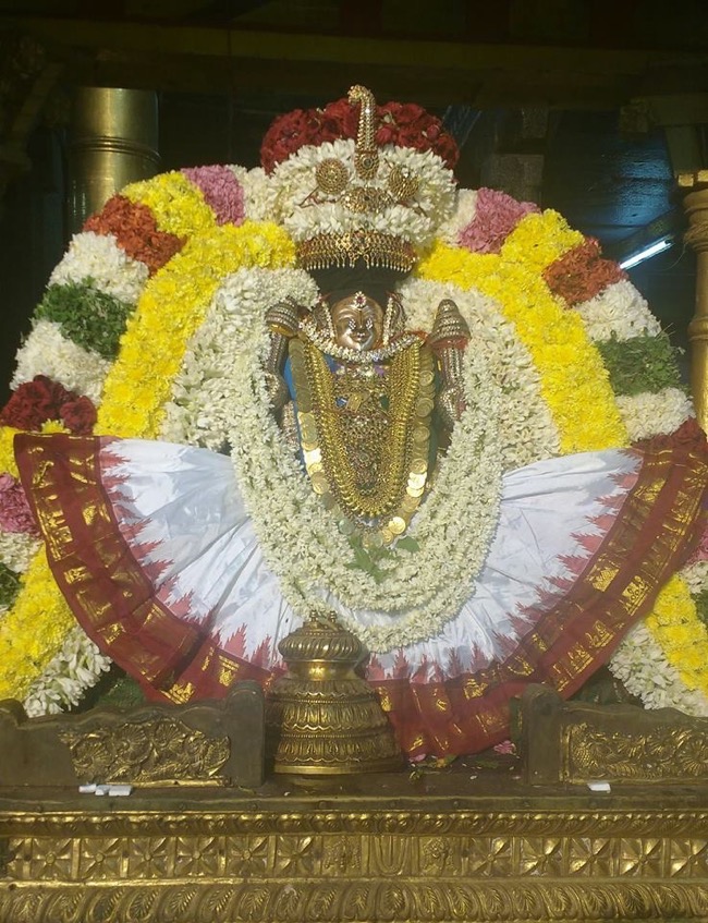 Thiruvahindrapuram Sri Devanathan Perumal Temple Durmukhi Varusha Dolotsavam: Day 3