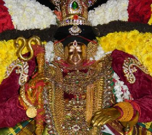 Thiruvahindrapuram Sri Devanathan Perumal Temple Pagal Pathu Utsavam – Day 6 & Day 7
