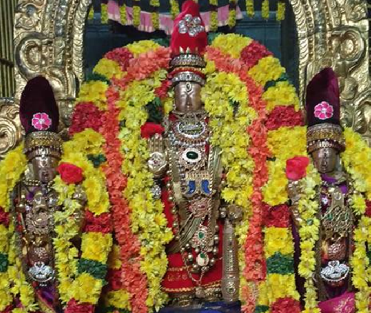 Thiruvallur Sri Veeraraghava Perumal Temple Pagal Pathu Utsavam – Day 5 & Day 6