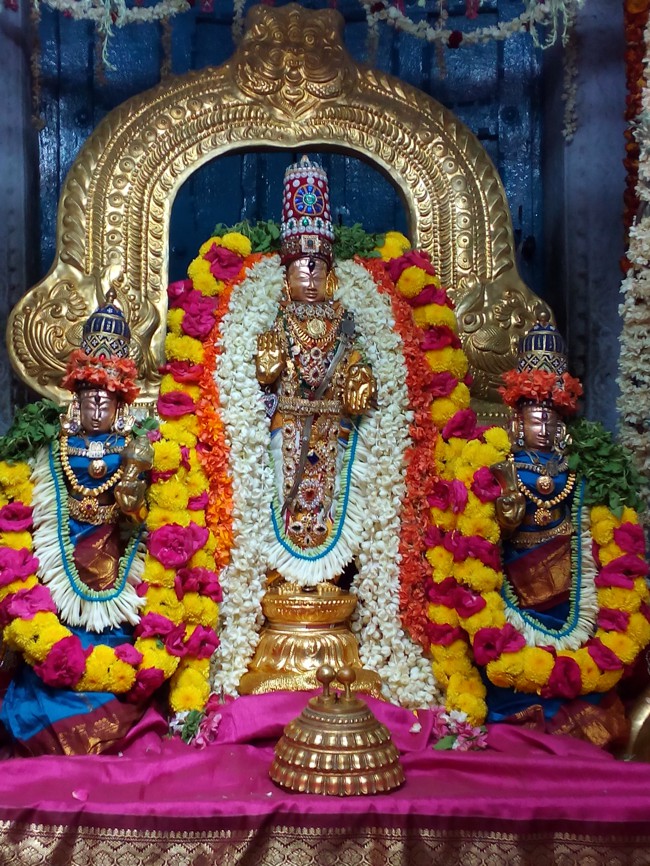 Thiruvellukai Sri Azhagiya Singaperumal Temple Hevilambi Aani Amavasai Thirumanjanam