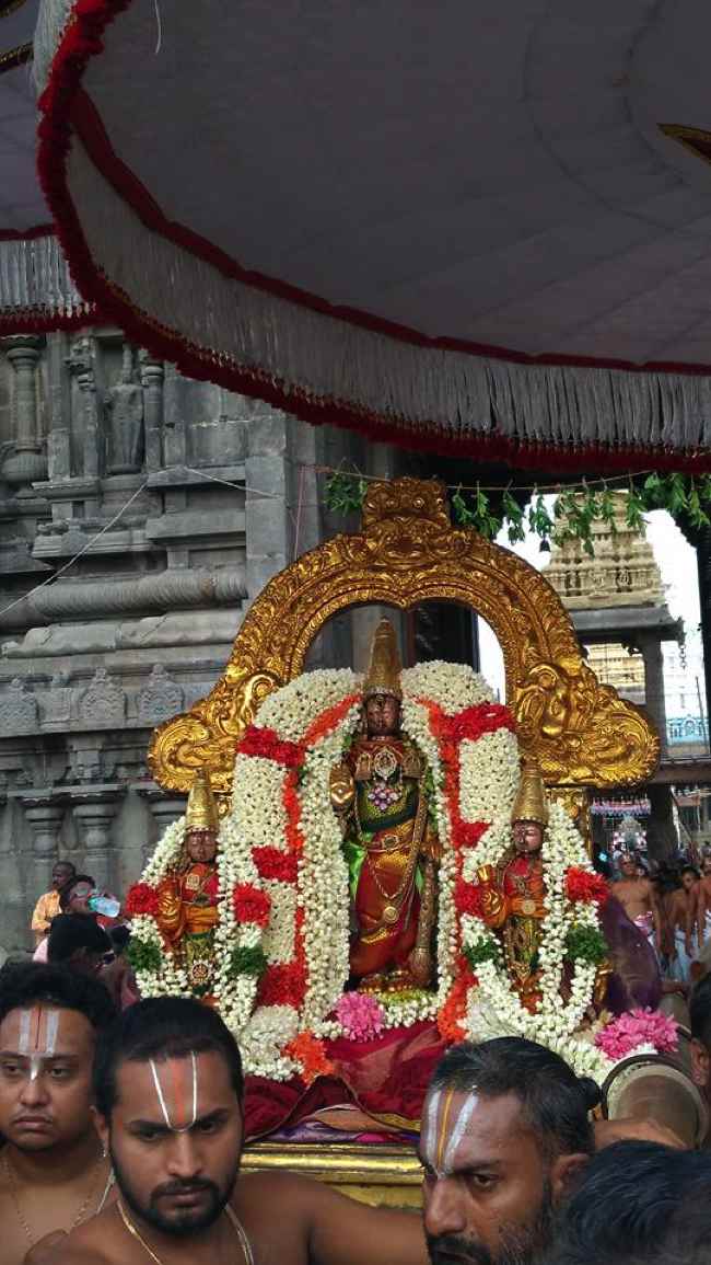 Kanchi Sri Varadaraja Perumal Sri Devadirajan: Ekadasi Purapadu