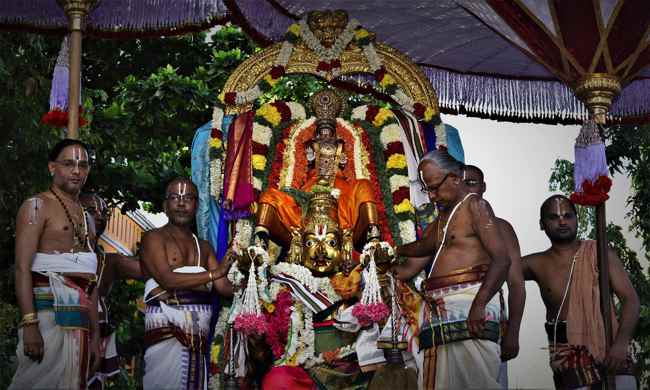 Thiruvallikkeni Sri Parthasarathy Temple Thelliyasingar Brahmotsavam Garuda Sevai