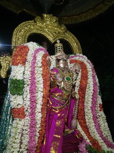 Thirucherai Sri Saranatha Perumal Dhakshinayana Punyakaalam Purappadu
