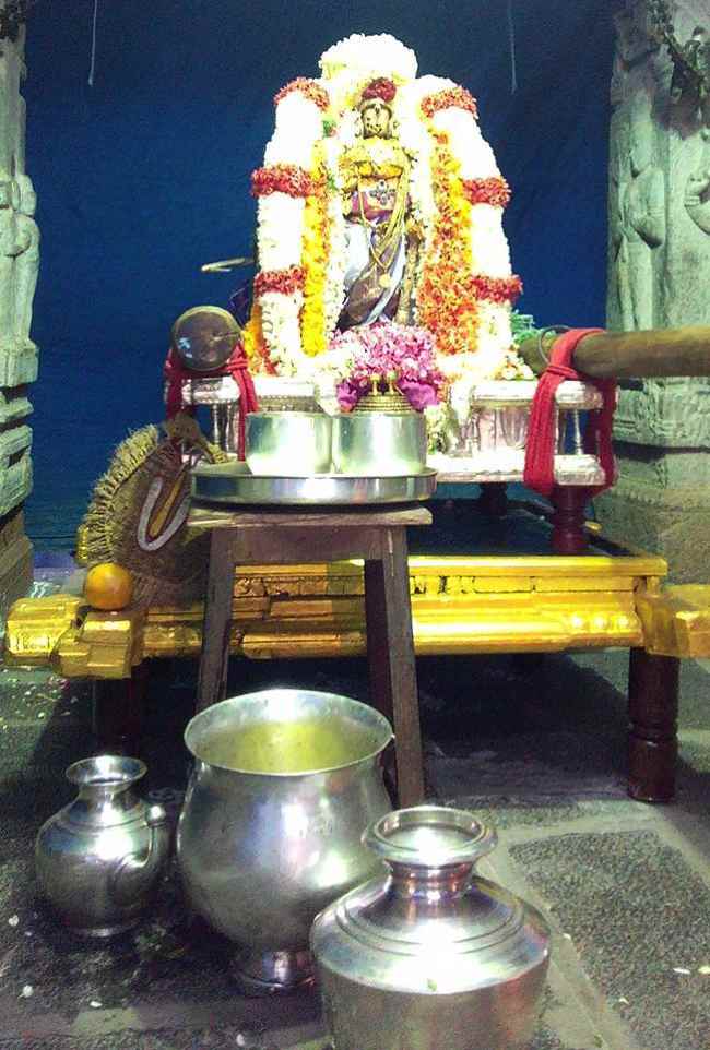 Kanchi Sri Varadaraja Perumal Temple Kodai Utsavam: Day 7