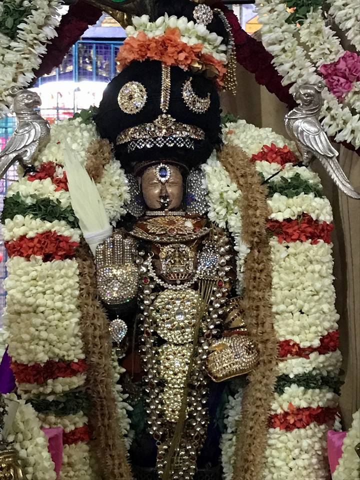 Mylapore Vanabhojana Utsavam: Sri Adikesava Perumal Visits Thiruvallikeni