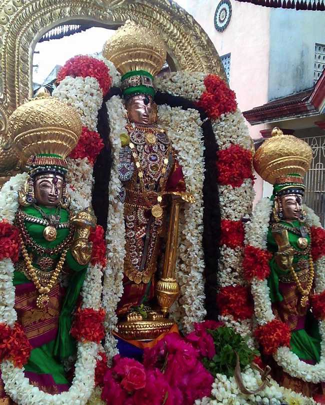 Thiruvellukai Sri AzhagiyaSinga Perumal Thiruavatara Mahotsavam