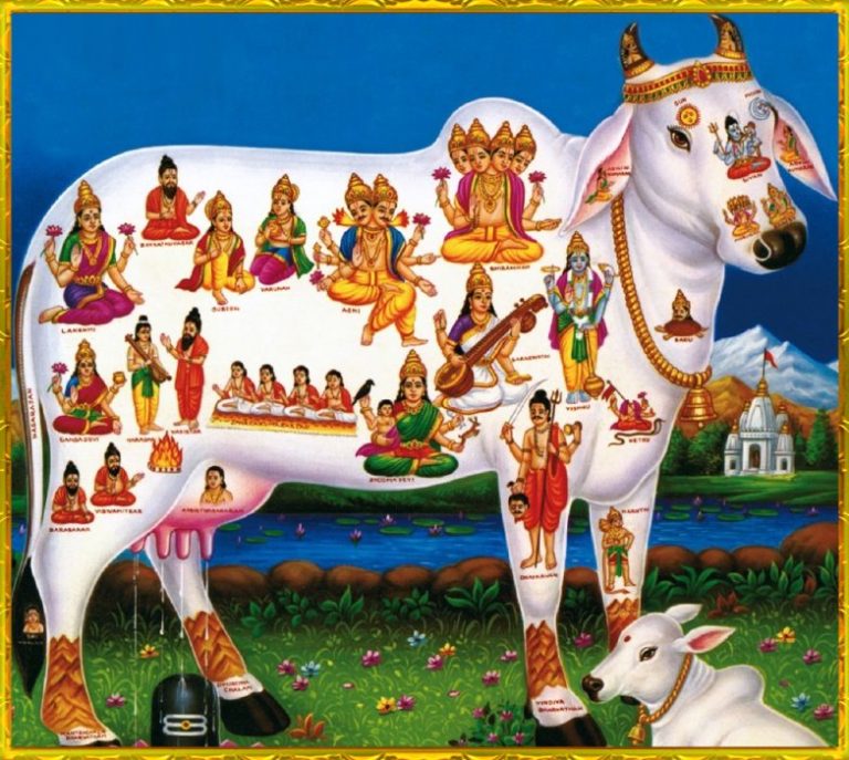 Go Mahimai – The glories of the sacred cow