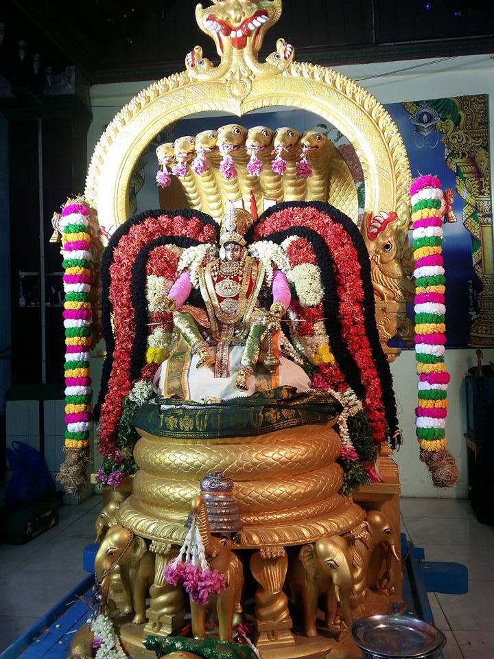 Paramakudi Sri Sundararaja Perumal Temple Aadi Brahmotsavam Commences