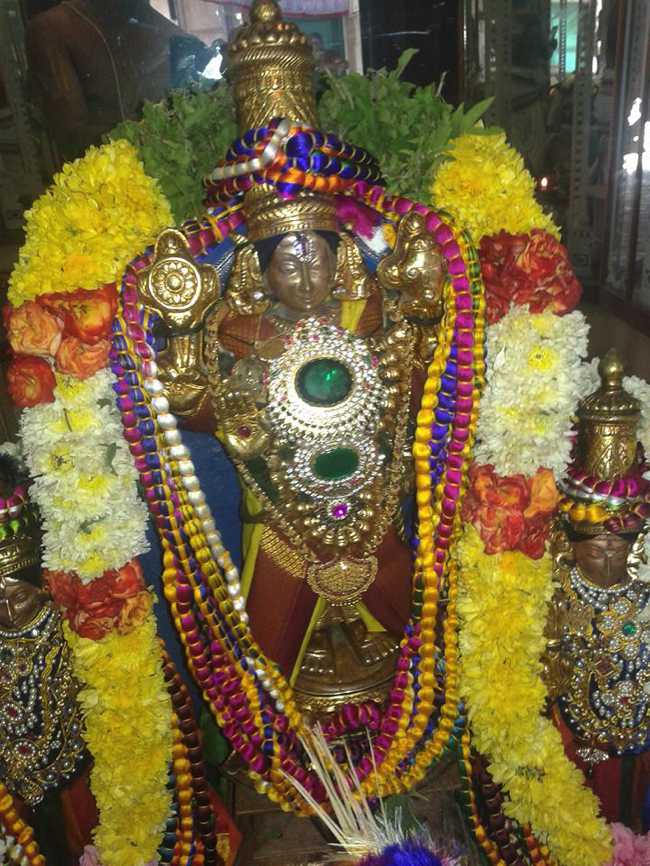 Pazhayaseevaram Sri Lakshmi Narasimha Perumal Thirupavitrotsavam: Day 2