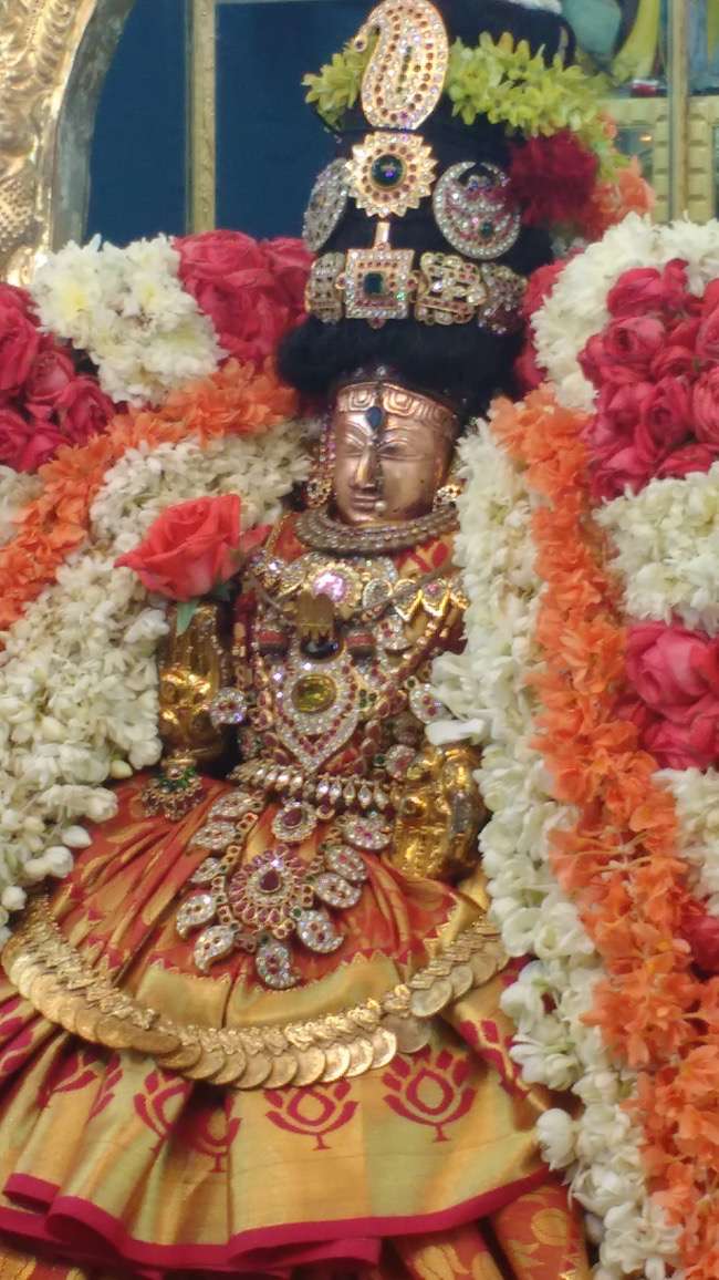 Thiruvellukai Sri Azhagiya Singaperumal Temple Hevilambi Avani Kadaivelli Thayar Purapadu