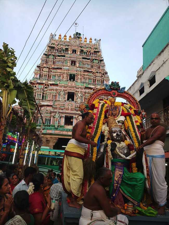 Thiruvinnagar Sri Oppiliappan Thirupavitrotsavam