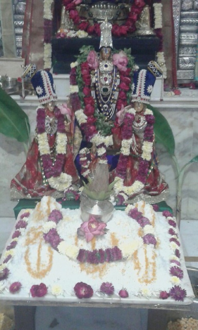 Hazira Sri Balaji Temple  Hevilambi Varusha Annakoota Utsavam