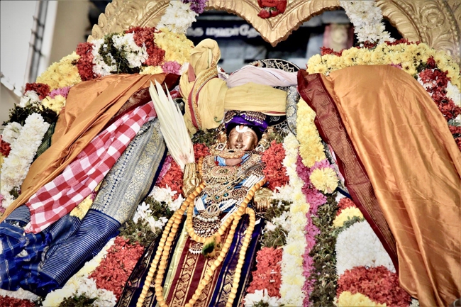 Swami Desikan 750th Thirunakshatra Mahotsava Vishesha Purappadu At Thiruallikeni- Part 2