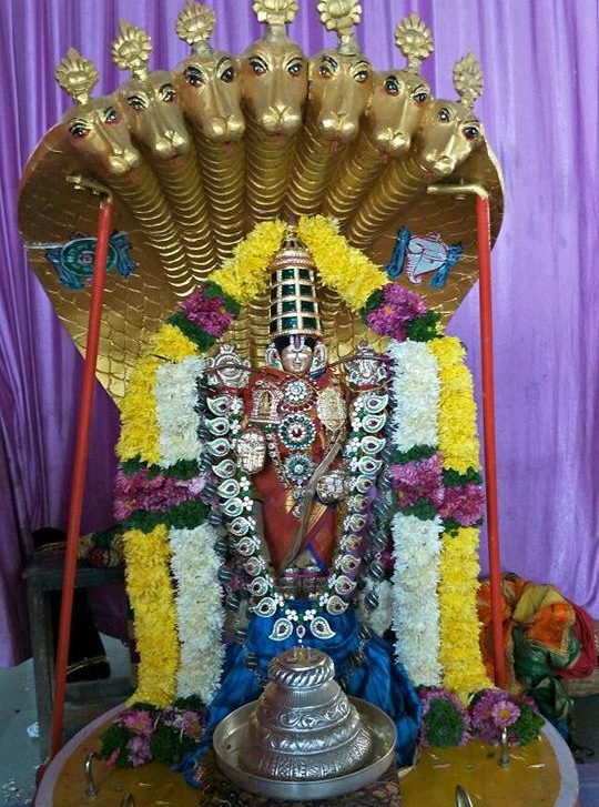 Pune Sri Balaji Mandir Rathasapthami Utsavam