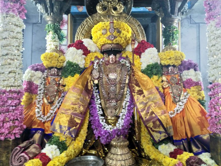 Thiruvahindrapuram Sri Devanatha Perumal Temple Nammazhwar Thiruvadi Thozhal