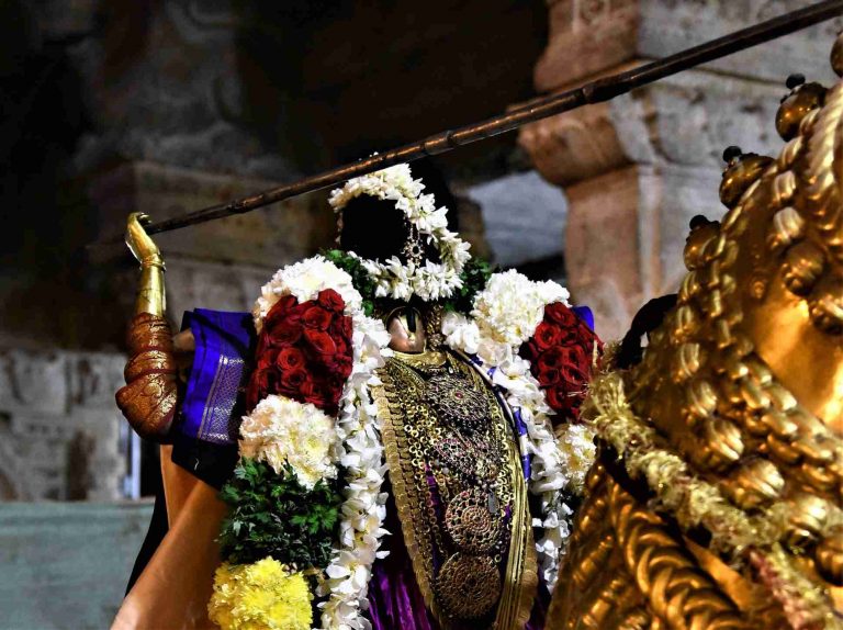 Vanamamalai Sri Deivanayaga Perumal Temple Kanu Parivettai Utsavam
