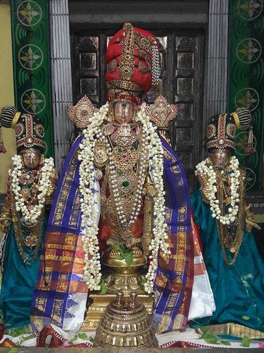 Thiruevvul Sri Vaidhya Veeraraghava Perumal Temple Hevilambi Varusha Maasi Theppotsavam Day 3