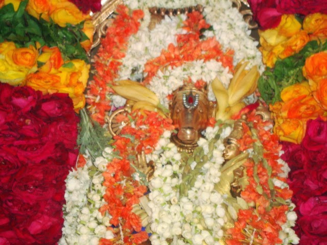 Sri Vidya Abhivruthi Hayagreeva Homam At Mumbai Dombivilli Sri Balaji Mandir