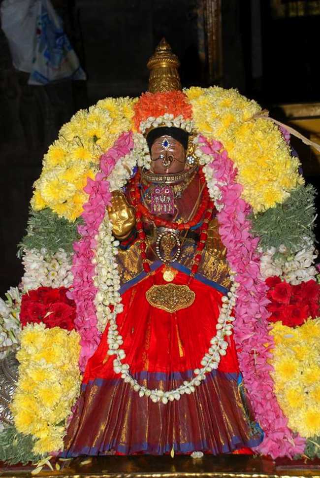 Thiruneermalai Sri Ranganathar Dhavanotsavam and Sri Neervanna Perumal Kalyana Utsavam
