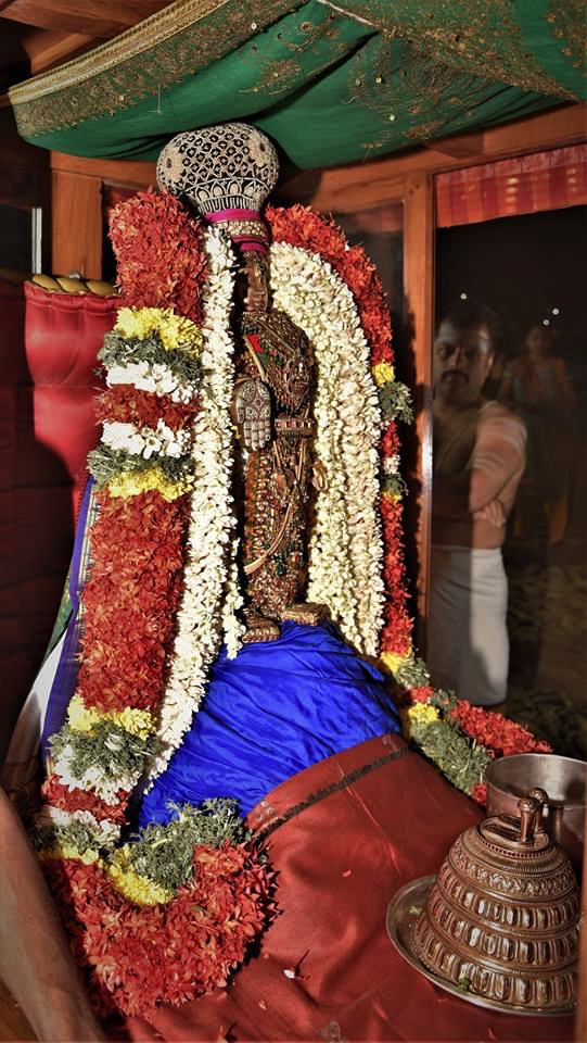 Mylapore SVDD Srinivasa Perumal Temple Hevilambi Masi Magam Purappadu