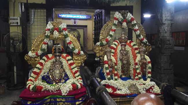 Thiruvallur Sri Veeraraghava Perumal Temple Dhavana Utsavam Day 1 and 2